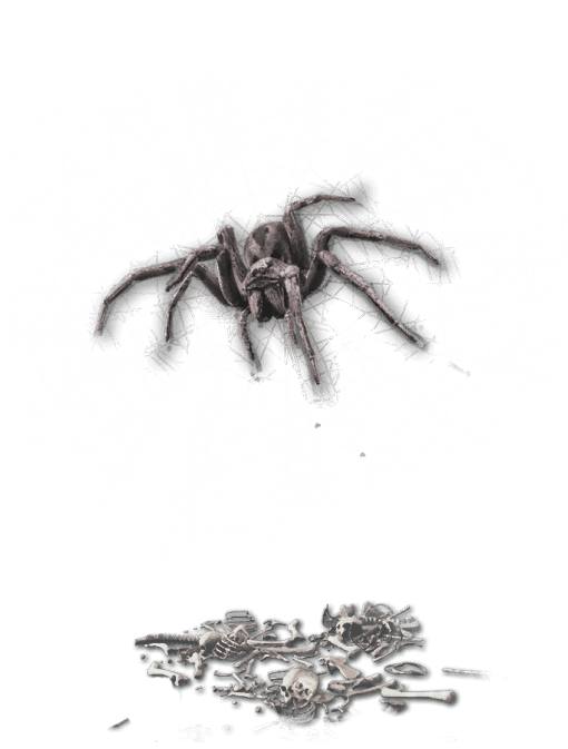 Giant Spider